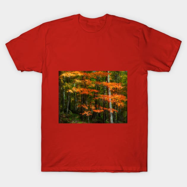 Autumn Beauty T-Shirt by algill